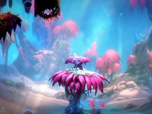 dota拍拍熊单挑能排第几　Dota拍拍熊单挑强度排名